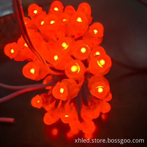 Special Price 9 cm PVC Point Lights IP67 LED Landscape Lighting